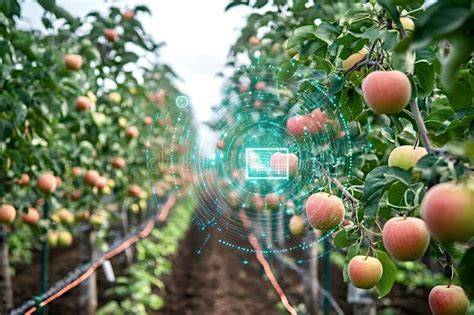 Apple farming and technologies - ABC Education - raincitystudios.com
