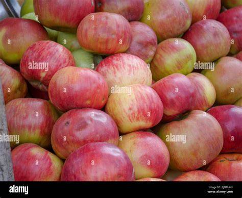 Apple Fruit In Philippines - raincitystudios.com