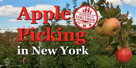 Apple Picking in New York | Fall Fun & U-Pick - raincitystudios.com