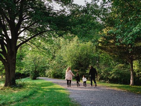 Apple Picking Ontario | 25+ Pick-Your-Own Orchards to … - raincitystudios.com