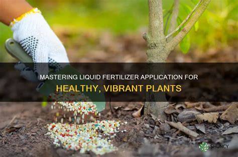 Application of Eco-Enzyme Solution as A Multipurpose Liquid Fertilizer ... - raincitystudios.com