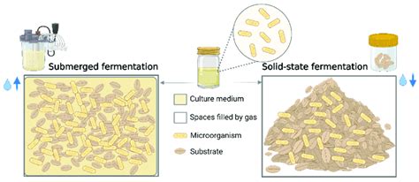Application of solid-state fermentation by microbial … - wintechmobiles.com