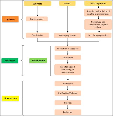 Application of solid-state fermentation by microbial biotechnology for ... - wintechmobiles.com