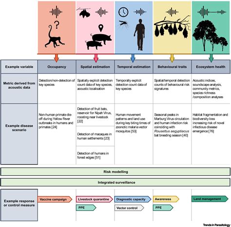Applications and advances in acoustic monitoring for infectious disease ... - muktibox.com
