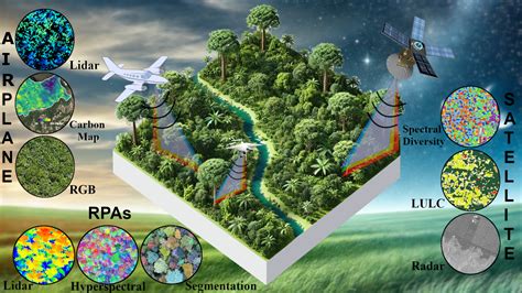 Applications in Remote Sensing to Forest Ecology and … - raincitystudios.com