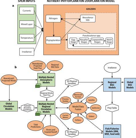 APPLICATIONS OF BIOPHYSICAL MODELING TO PACIFIC HIGH … - raincitystudios.com