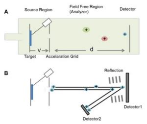 Applications of MALDI mass spectrometry in forensic science - wintechmobiles.com