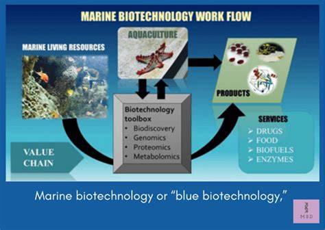Applications of Marine Biotechnology | Biotechnology - Your Article … - raincitystudios.com