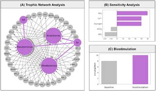 Applications of marine microbial community models in … - raincitystudios.com