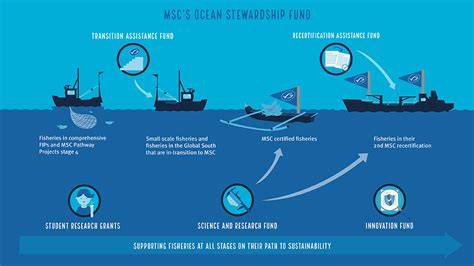 Apply for fisheries funding | Marine Stewardship … - raincitystudios.com
