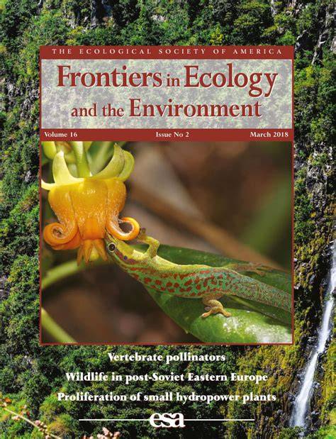 Appreciating interconnectivity between habitats is key to blue carbon ... - raincitystudios.com
