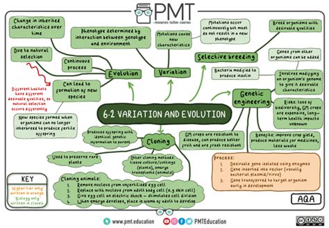 AQA GCSE Biology (9-1) Mindmaps Teaching …