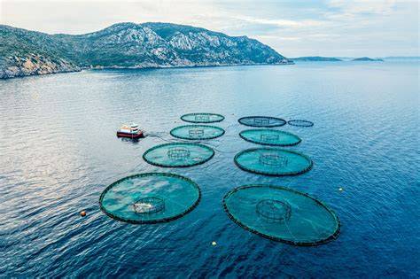 Aquaculture & Marine Biology Courses Online - raincitystudios.com