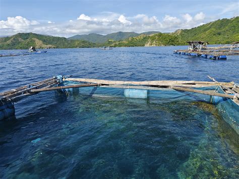 Aquaculture in the Philippines - raincitystudios.com