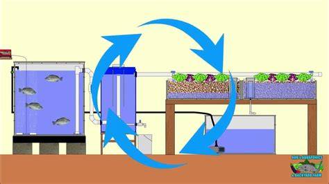 AQUAPONIC KITS | DIY AQUAPONIC SYSTEMS | HOME AND COMMERCIAL AQUAPONICS - raincitystudios.com