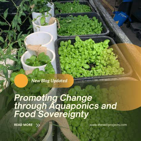 Aquaponics: A Sustainable Path to Food Sovereignty … - raincitystudios.com