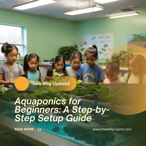 Aquaponics for Beginners: A Step-by-Step Setup Guide - raincitystudios.com