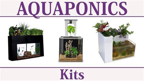 Aquaponics Kits & Systems - Aqua Gardening - raincitystudios.com