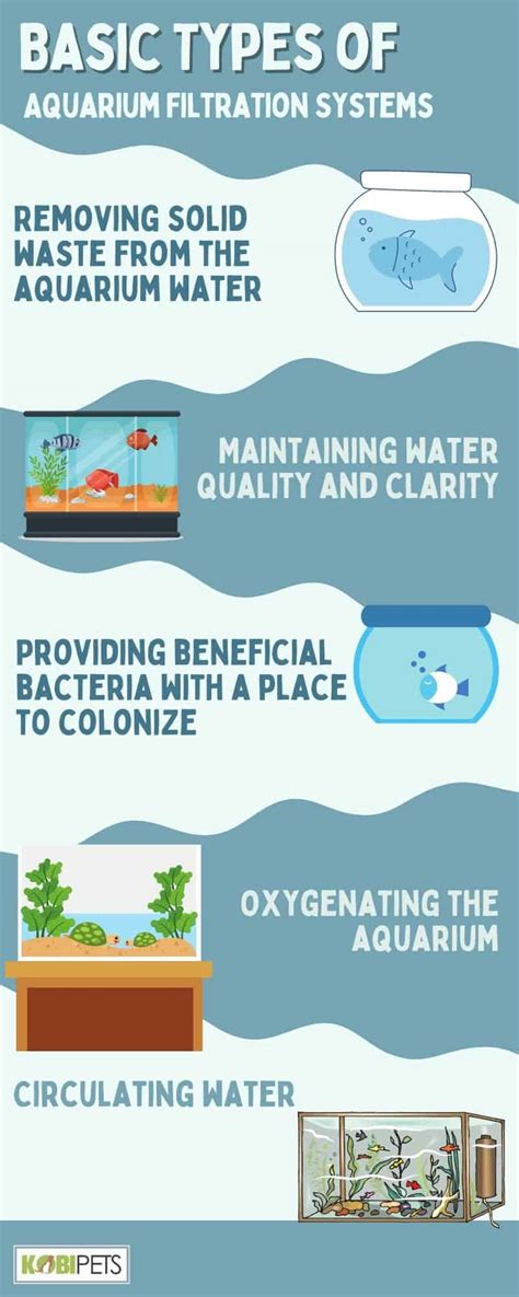 Aquarium Basics: Types of Filtration Systems - The … - raincitystudios.com