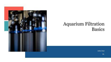 Aquarium Filtration Basics - raincitystudios.com