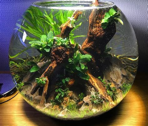 Aquascape Bowl - Volcanic Ember Lava Garden Glass … - muktibox.com