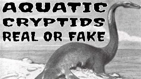 AQUATIC CRYPTIDS PART TWO MYTHICAL CREATURES OR REAL …