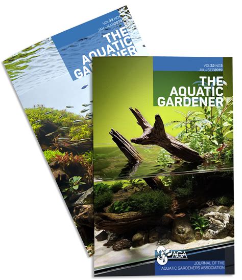 Aquatic - muktibox.com