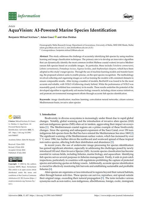 AquaVision: AI-Powered Marine Species Identification - raincitystudios.com