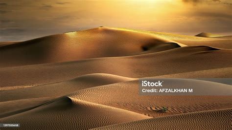 ARAB BUGIL pemandangan indah & Foto seleb bugil topik vidio hd porno konfirmasi jaminan setelah selesaikan bab mental juara image 1