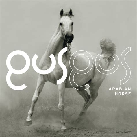 ARABIAN HORSE Lyrics - GUS GUS eLyrics.net