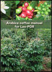 Arabica coffee manual for Lao PDR - raincitystudios.com
