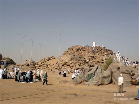 veodersti.rgarabwor.edu.pl. 