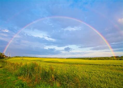 ARC-EN-CIEL - フランス語辞典でのarc-en-cielの定義と同義語