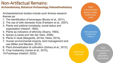 Archaeobotany: Definition & Importance | StudySmarter - wintechmobiles.com