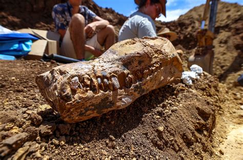 Archeology and Paleontology - U.S. National Park Service - wintechmobiles.com
