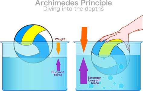 Archimedes Principle, Diving Into The Depths. Ball ... - Shutterstock - wintechmobiles.com