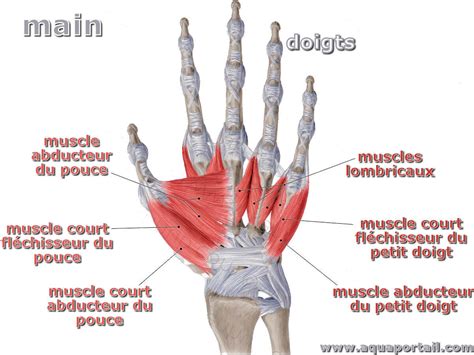 ARCOS/ARCOS_library/include/core/maths at main - GitHub - wintechmobiles.com
