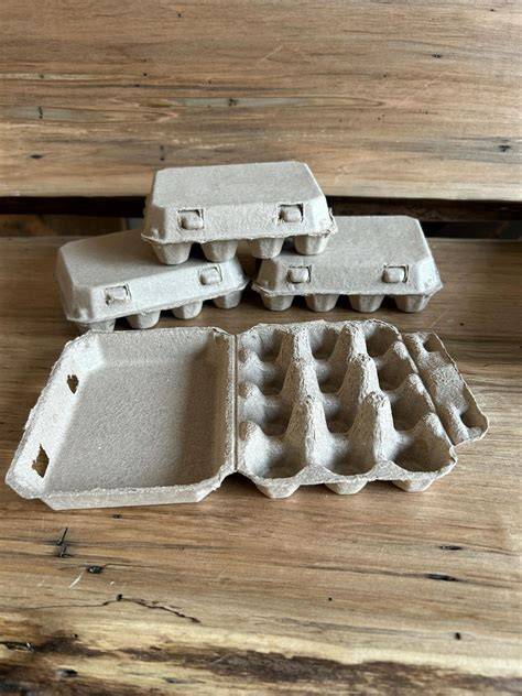 Are Egg Cartons Compostable - raincitystudios.com
