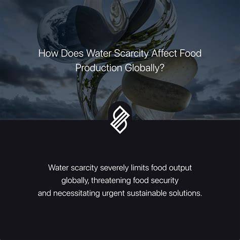 Arguments for protection: freshwater | WWF - raincitystudios.com