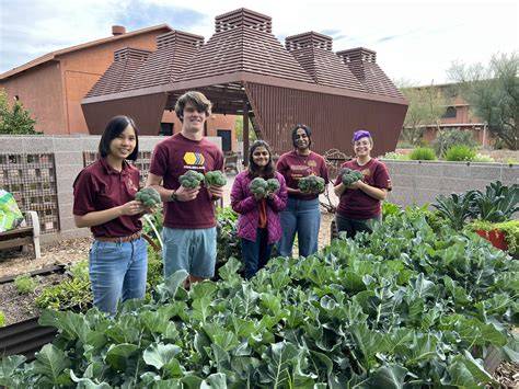 ARIZONA SUSTAINABLE COMMUNITY GARDEN - raincitystudios.com