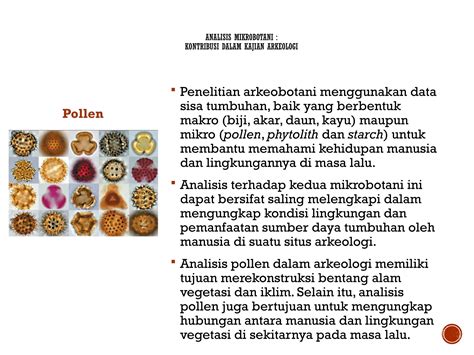 Arkeologi lingkungan - Wikiwand - wintechmobiles.com