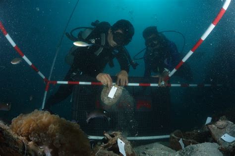 Arkeologi Maritim Bawah Air - Menelusuri Jejak … - wintechmobiles.com
