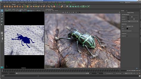 Arnold Renderer for VFX Artists - muktibox.com