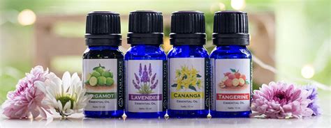 Aroma Utama Essential Oil - Bunga, Herba, Jeruk, Kayu, dsb - wintechmobiles.com