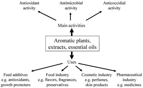 Aromatic Plants as a Source of Bioactive Compounds - wintechmobiles.com