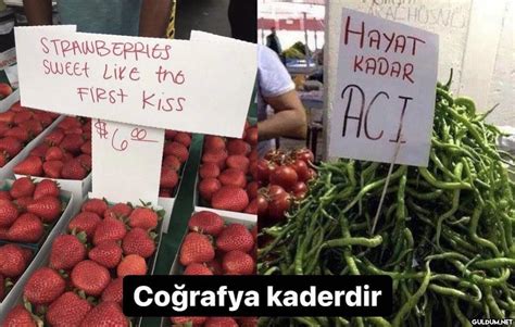 codini.rgarabwor.edu.pl. 