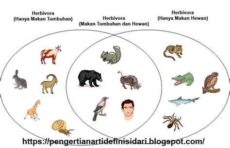 Arti Karnivora - muktibox.com