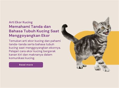 Arti kata ekor - Kamus Besar Bahasa Indonesia (KBBI) Online - wintechmobiles.com