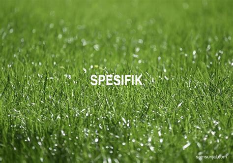 Arti kata spesifik - Kamus Besar Bahasa Indonesia (KBBI) Online - muktibox.com