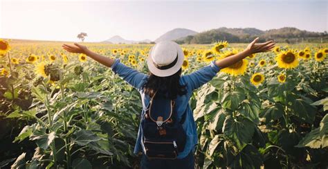 arti mimpi pergi liburan - elchoricharrua.com